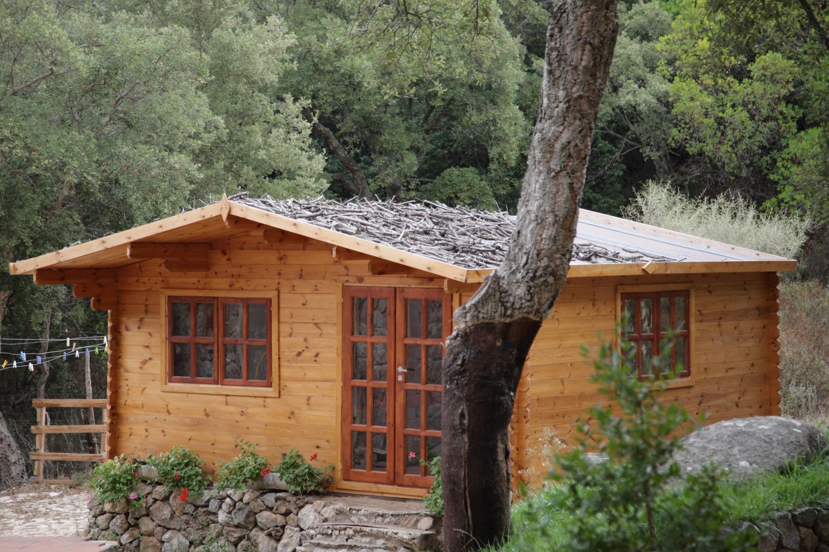 Casetta in legno nel bosco
