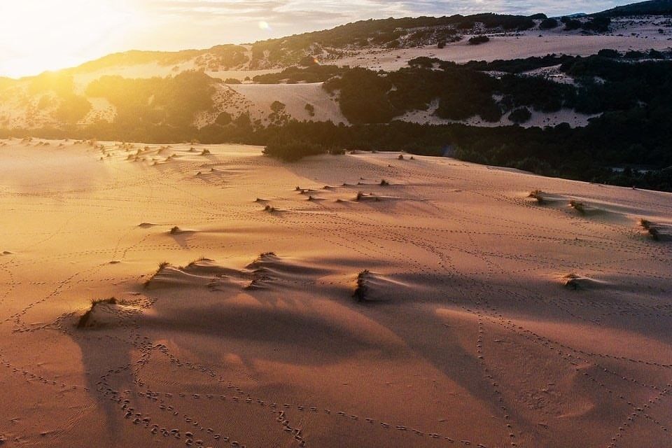 Dune al tramonto